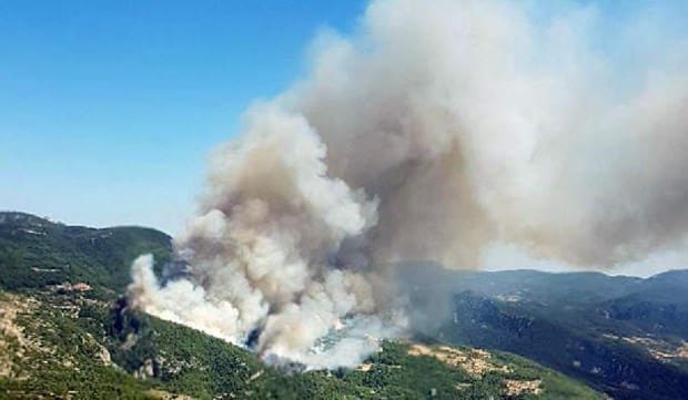 mugla-yangin3