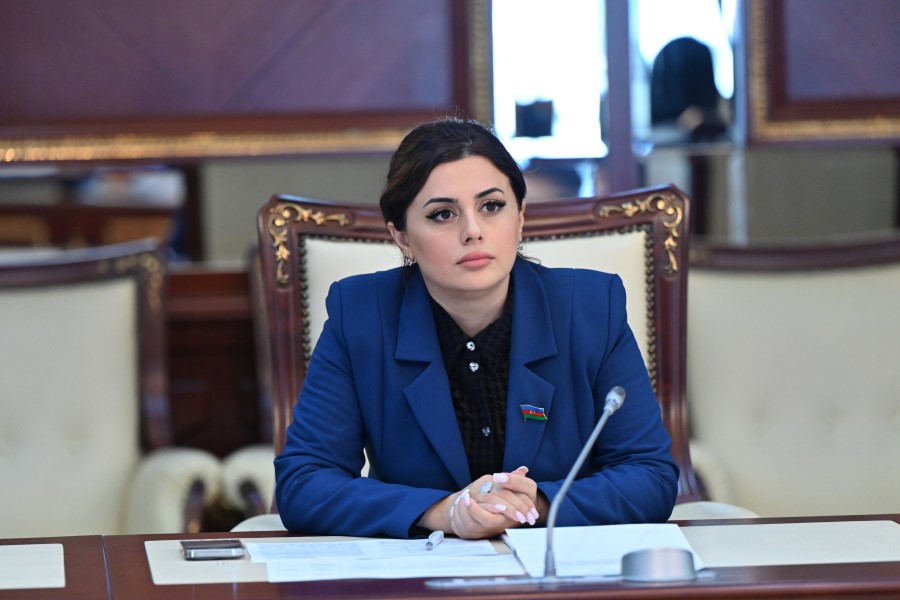 Pərvanə Vəliyeva: "Azərbaycan artıq Mərkəzi Asiya ilə vahid siyasi,  iqtisadi və mədəni məkanın əsas oyunçusuna çevrilib"